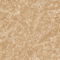 Gạch Tasa 60x60 TS 6023