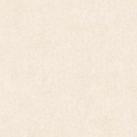 Gạch Tasa 60x60 TS 6053
