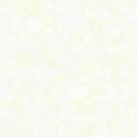 Gạch Tasa 60x60 TS 6616