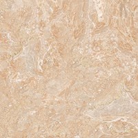 Gạch Tasa 80x80 8803