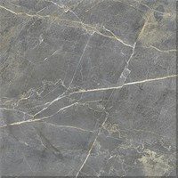 Gạch Tasa 80x80 8805