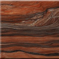 Gạch Tasa 80x80 8817