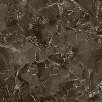 Gạch Tasa 80x80 8818