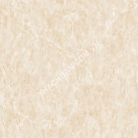 Gạch Thạch Bàn 60x60 BCN 061