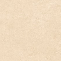 Gạch Thạch Bàn 60x60 BDN60 604