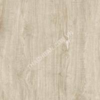 Gạch Thạch Bàn 60x60 MPH 038