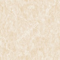 Gạch Thạch Bàn 80x80 BCN 061
