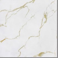 Gạch Trung Quốc 80x80 TP 8023