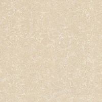Gạch Viglacera 60x60 TS2-612
