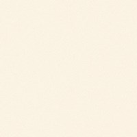 Gạch Viglacera 60x60 TS5-600
