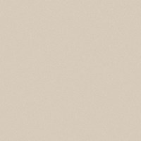 Gạch Viglacera 60x60 TS5-601