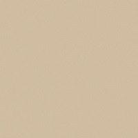 Gạch Viglacera 60x60 TS5-602