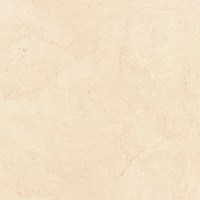 Gạch Viglacera 80x80 ECO-S820