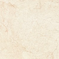 Gạch Viglacera 80x80 ECO-S821