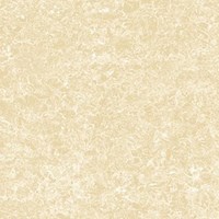 Gạch Viglacera 80x80 KN812