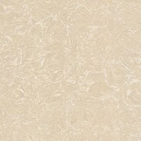 Gạch Viglacera 80x80 TS2-812
