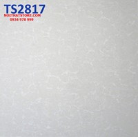 Gạch Viglacera 80x80 bóng kính 2 da TS2817