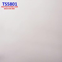 Gạch Viglacera 80x80 bóng kính 2 da TS5801