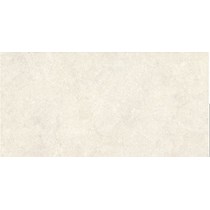 Gạch Vitto 30x60 D224