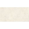 Gạch Vitto 30x60 D224