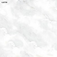 Gạch Vitto 60x60 6H750