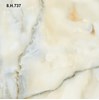 Gạch Vitto 60x60 8H737