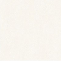 Gạch Vitto 60x60 H620