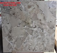 Gạch Vitto 80x80 803