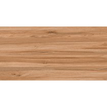 Gạch ốp lát Ý Mỹ 60x120 P6125001C