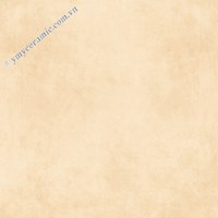 Gạch Ý Mỹ 60x60 N65002H