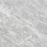 Gạch Ý Mỹ 60x60 P65011C