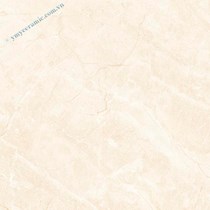 Gạch Ý Mỹ 60x60 P65013C