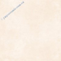 Gạch Ý Mỹ 60x60 P65016H