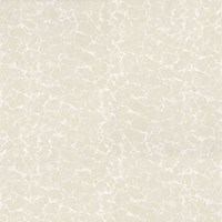Gạch Ý Mỹ 60x60 P67004