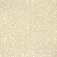Gạch Ý Mỹ 60x60 P67005