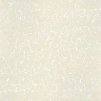 Gạch Ý Mỹ 60x60 P67008