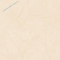 Gạch Ý Mỹ 60x60 P68069C