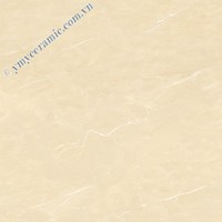 Gạch Ý Mỹ 60x60 P68078