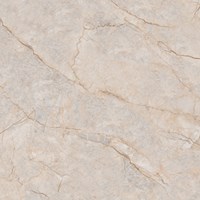 Gạch Ý Mỹ 60x60 P68081C