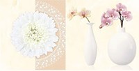 Gạch điểm Vitto 30x60 D206