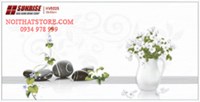 Gạch điểm ốp tường Sunrise 30x60 HV9225