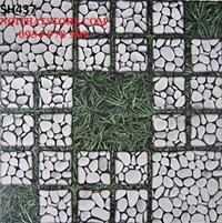 Gạch giá rẻ 40x40 sân vườn SH437