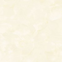 Gạch lát nền Prime 60x60 12046