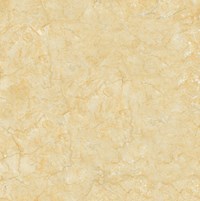 Gạch lát nền Prime 60x60 9166