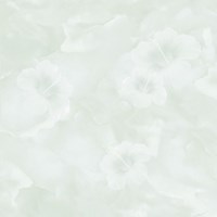 Gạch lát nền Tasa 80x80 8167
