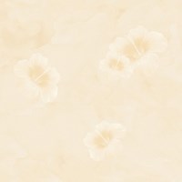 Gạch lát nền Tasa 80x80 8168