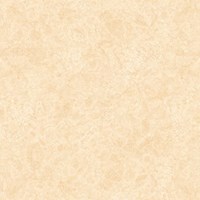 Gạch lát nền Tasa 80x80 8326