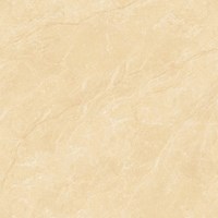Gạch lát nền Tasa 80x80 8327