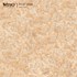 Gạch lát nền Vitto 60x60 3004