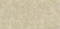 Gạch ốp lát Viglacera 30x60 BS3602